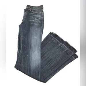Citizens of Humanity Flare Jeans