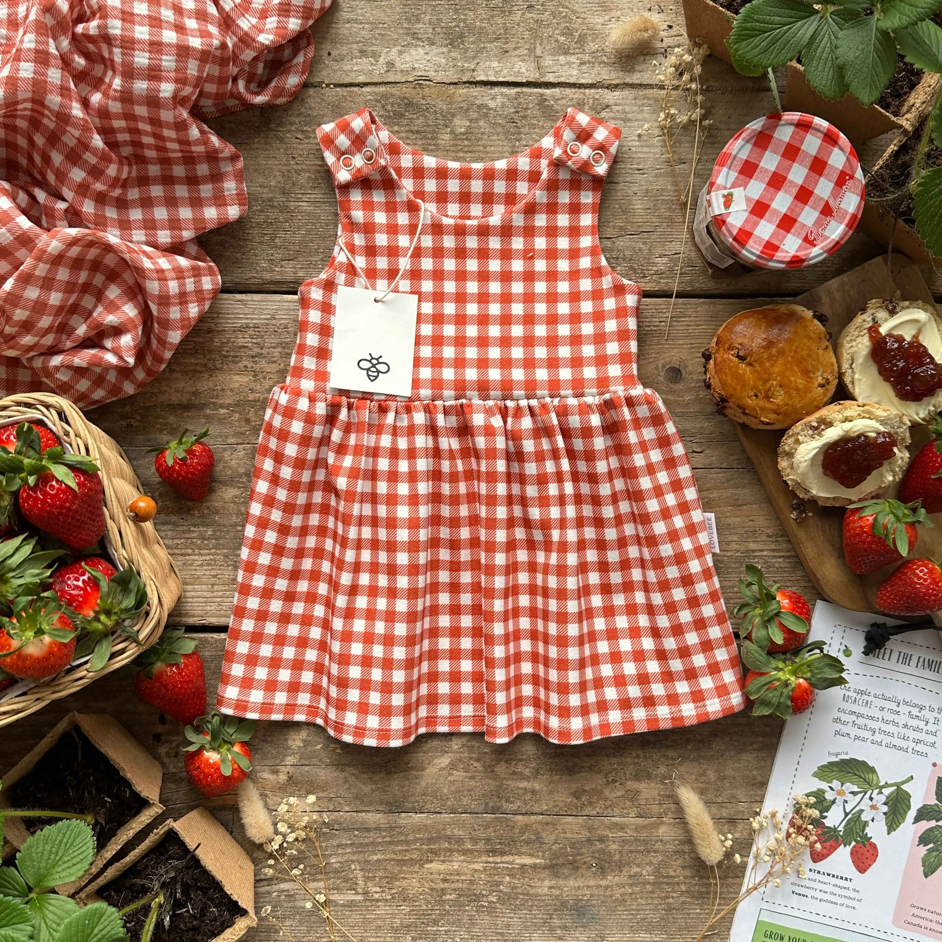 Red Gingham Dress | Ready To Post