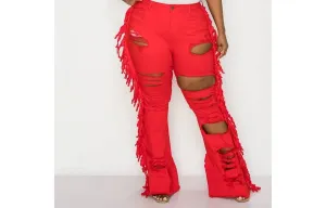 Tassel Distressed Flare Jeans